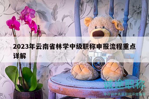 2023年云南省林学中级职称申报流程重点详解