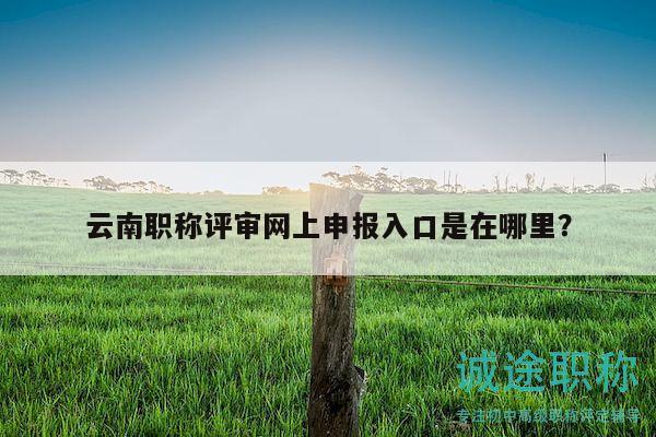 云南职称评审网上申报入口是在哪里？