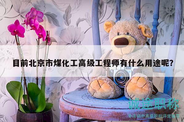 目前北京市煤化工高级工程师有什么用途呢？