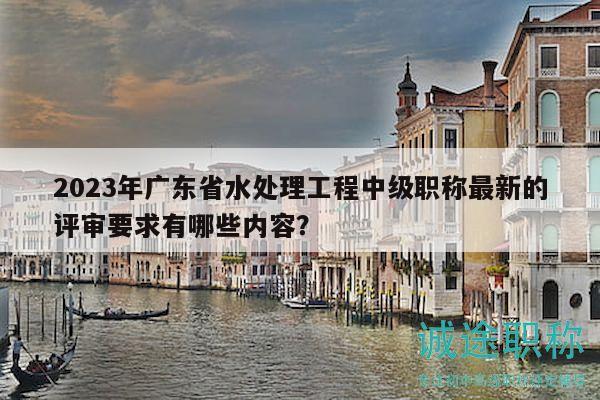 2023年广东省水处理工程中级职称最新的评审要求有哪些内容？