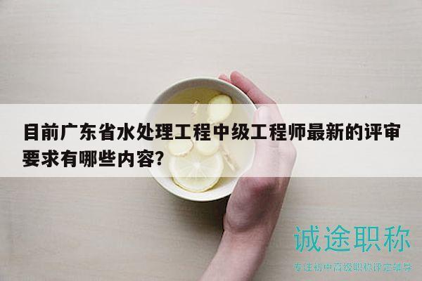 目前广东省水处理工程中级工程师最新的评审要求有哪些内容？