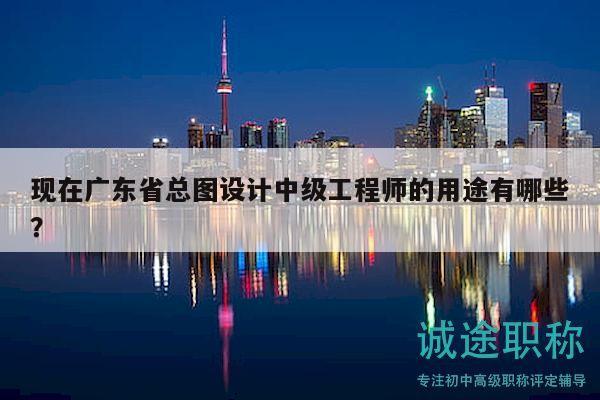 现在广东省总图设计中级工程师的用途有哪些？