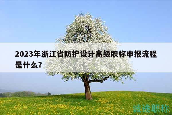 2023年浙江省防护设计高级职称申报流程是什么？