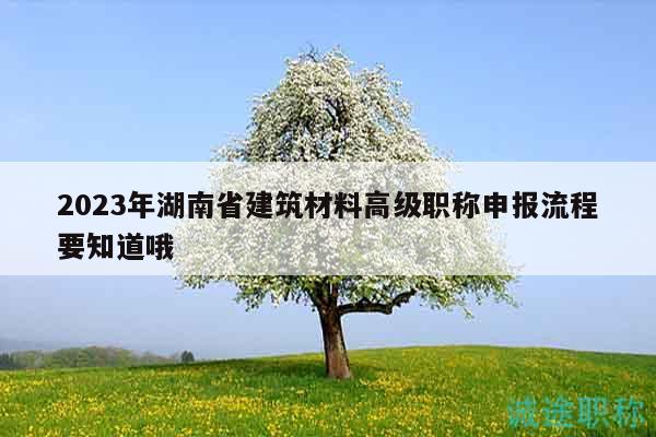 2023年湖南省建筑材料高级职称申报流程要知道哦
