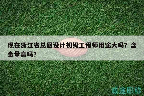 现在浙江省总图设计初级工程师用途大吗？含金量高吗？