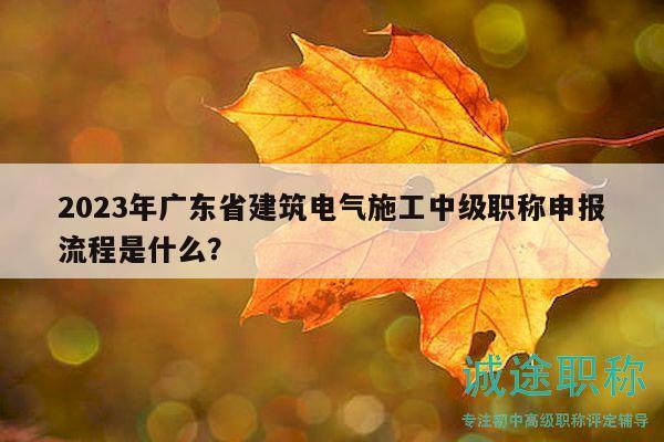 2023年广东省建筑电气施工中级职称申报流程是什么？