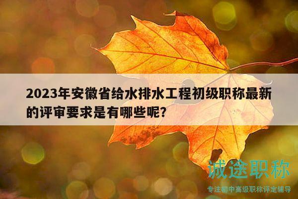 2023年安徽省给水排水工程初级职称最新的评审要求是有哪些呢？