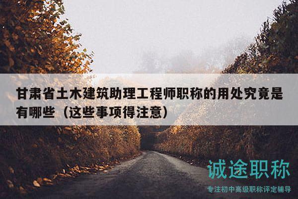 甘肃省土木建筑助理工程师职称的用处究竟是有哪些（这些事项得注意）