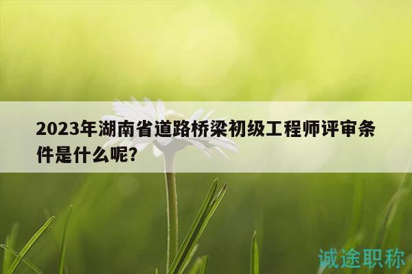 2023年湖南省道路桥梁初级工程师评审条件是什么呢？