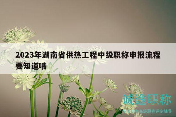 2023年湖南省供热工程中级职称申报流程要知道哦