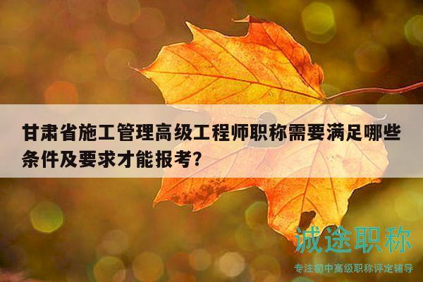 甘肃省施工管理高级工程师职称需要满足哪些条件及要求才能报考？