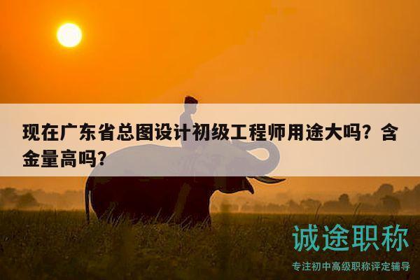 现在广东省总图设计初级工程师用途大吗？含金量高吗？