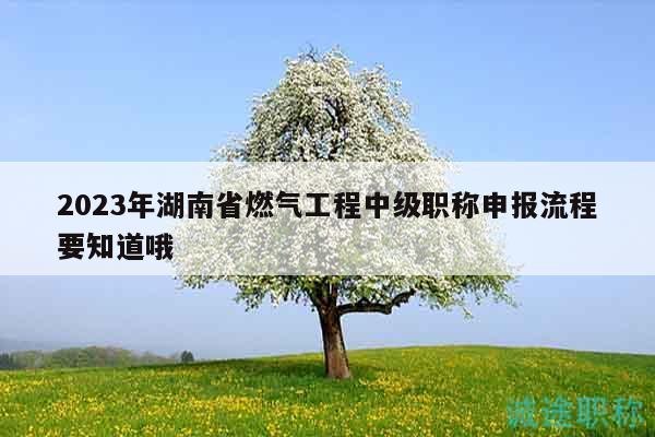2023年湖南省燃气工程中级职称申报流程要知道哦