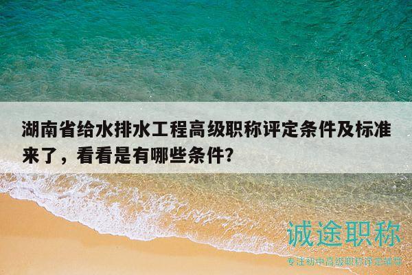 湖南省给水排水工程高级职称评定条件及标准来了，看看是有哪些条件？