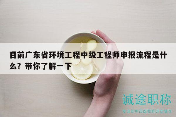 目前广东省环境工程中级工程师申报流程是什么？带你了解一下