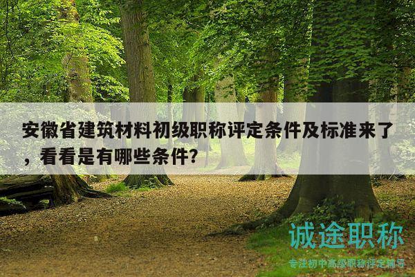 安徽省建筑材料初级职称评定条件及标准来了，看看是有哪些条件？
