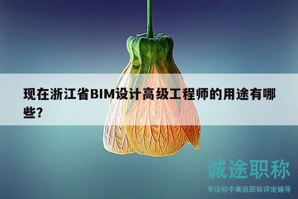 现在浙江省BIM设计高级工程师的用途有哪些？