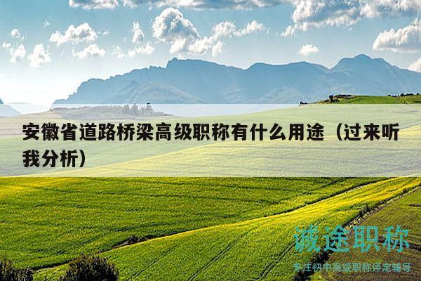 安徽省道路桥梁高级职称有什么用途（过来听我分析）