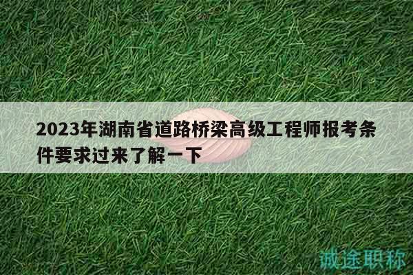 2023年湖南省道路桥梁高级工程师报考条件要求过来了解一下