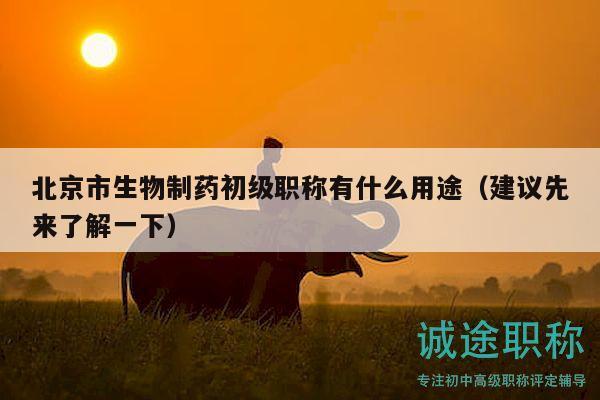 北京市生物制药初级职称有什么用途（建议先来了解一下）