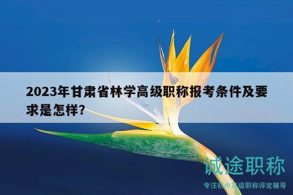 2023年甘肃省林学高级职称报考条件及要求是怎样？