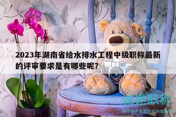 2023年湖南省给水排水工程中级职称最新的评审要求是有哪些呢？