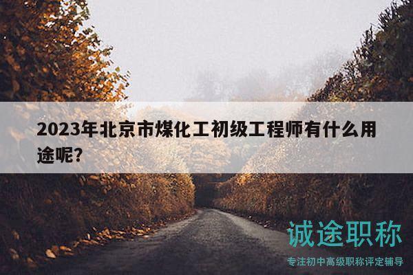 2023年北京市煤化工初级工程师有什么用途呢？