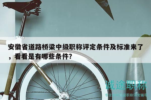 安徽省道路桥梁中级职称评定条件及标准来了，看看是有哪些条件？