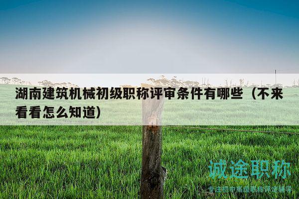 湖南建筑机械初级职称评审条件有哪些（不来看看怎么知道）
