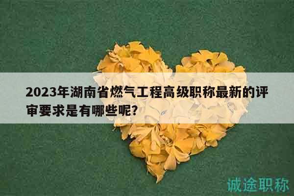 2023年湖南省燃气工程高级职称最新的评审要求是有哪些呢？