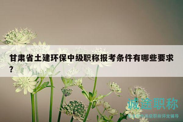 甘肃省土建环保中级职称报考条件有哪些要求？