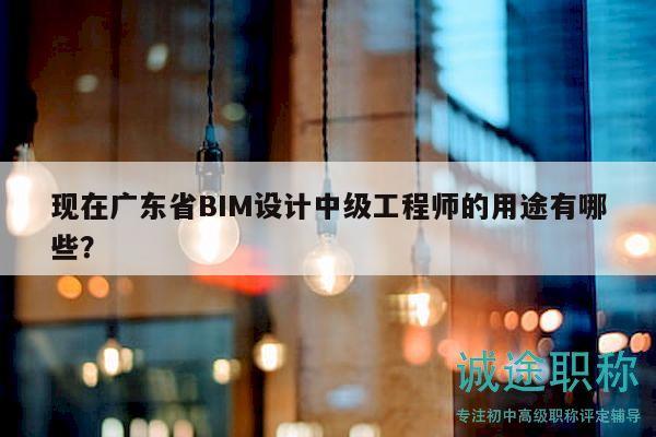 现在广东省BIM设计中级工程师的用途有哪些？