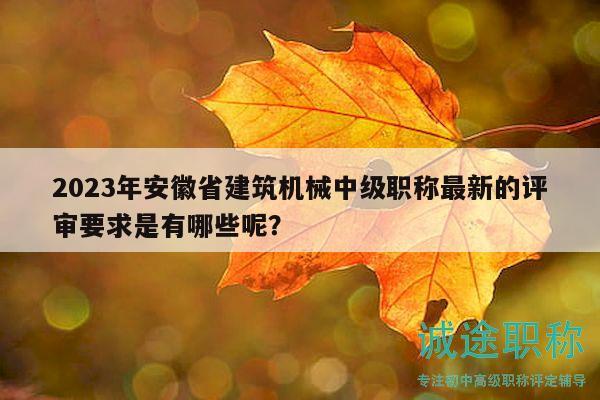 2023年安徽省建筑机械中级职称最新的评审要求是有哪些呢？