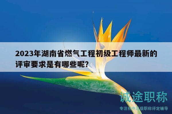 2023年湖南省燃气工程初级工程师最新的评审要求是有哪些呢？