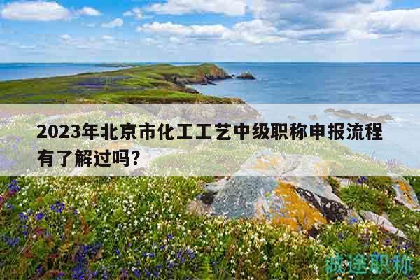 2023年北京市化工工艺中级职称申报流程有了解过吗？