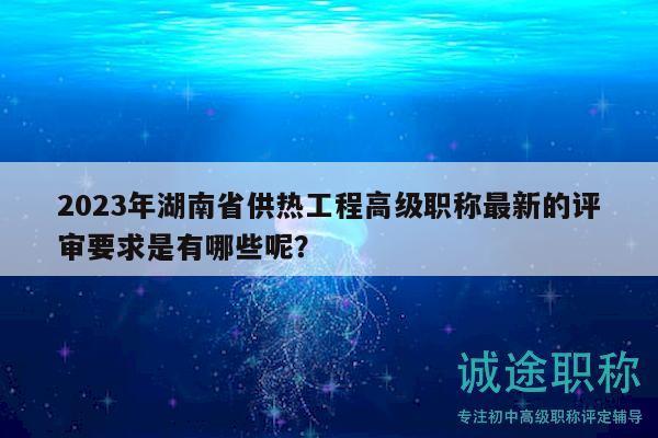 2023年湖南省供热工程高级职称最新的评审要求是有哪些呢？