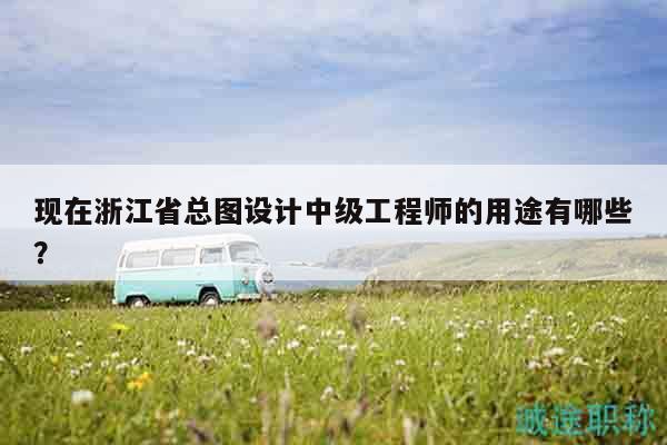 现在浙江省总图设计中级工程师的用途有哪些？