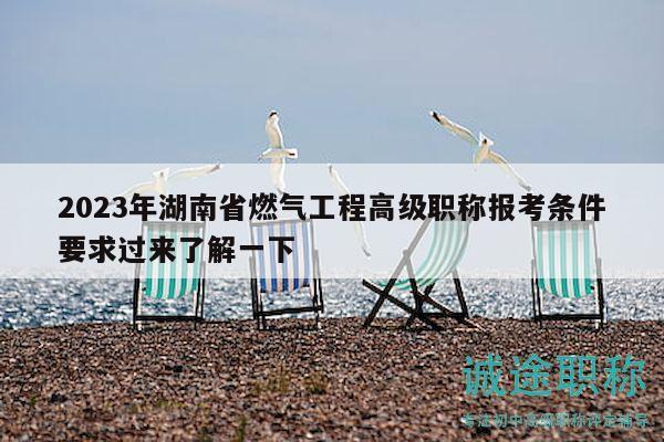 2023年湖南省燃气工程高级职称报考条件要求过来了解一下