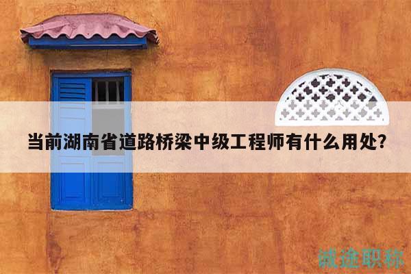 当前湖南省道路桥梁中级工程师有什么用处？