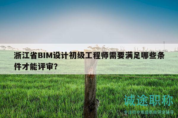 浙江省BIM设计初级工程师需要满足哪些条件才能评审？