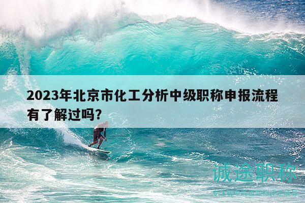 2023年北京市化工分析中级职称申报流程有了解过吗？