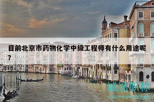 目前北京市药物化学中级工程师有什么用途呢？