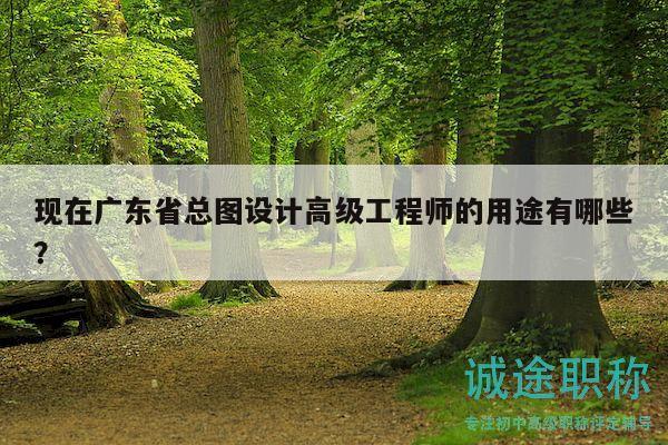 现在广东省总图设计高级工程师的用途有哪些？