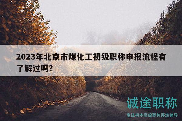 2023年北京市煤化工初级职称申报流程有了解过吗？