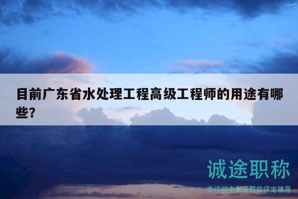 目前广东省水处理工程高级工程师的用途有哪些？