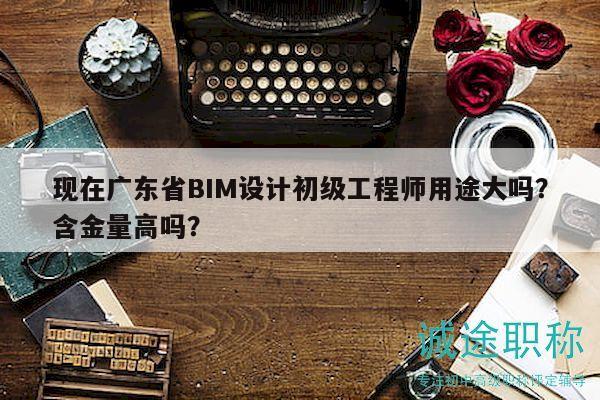 现在广东省BIM设计初级工程师用途大吗？含金量高吗？
