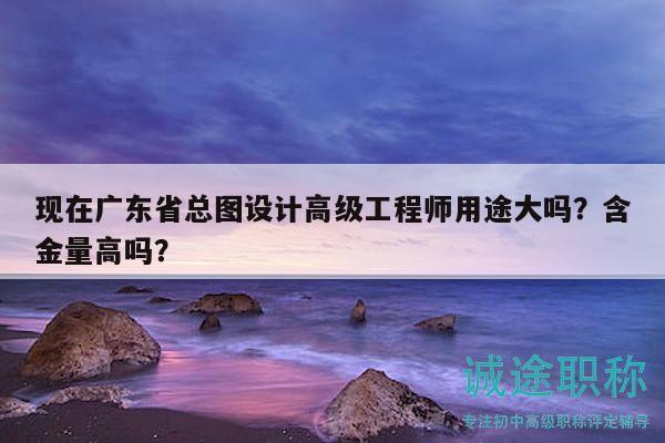 现在广东省总图设计高级工程师用途大吗？含金量高吗？