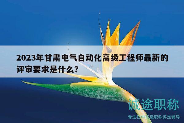 2023年甘肃电气自动化高级工程师最新的评审要求是什么？