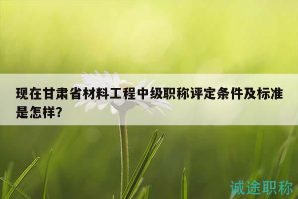 现在甘肃省材料工程中级职称评定条件及标准是怎样？