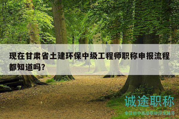 现在甘肃省土建环保中级工程师职称申报流程都知道吗？